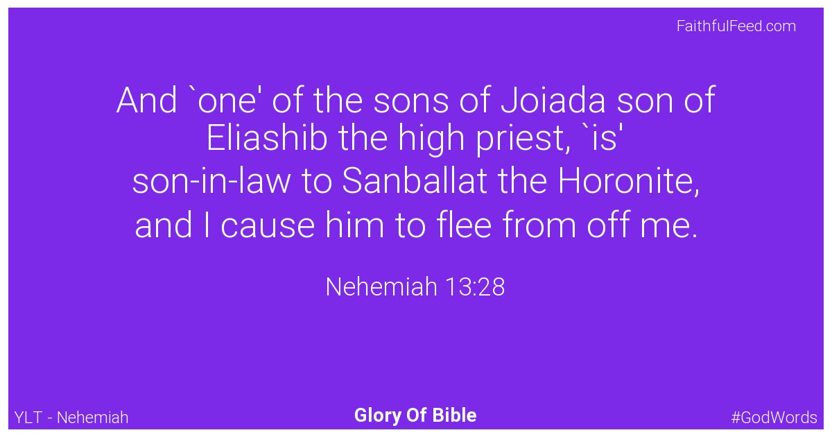 Nehemiah 13:28 - Ylt