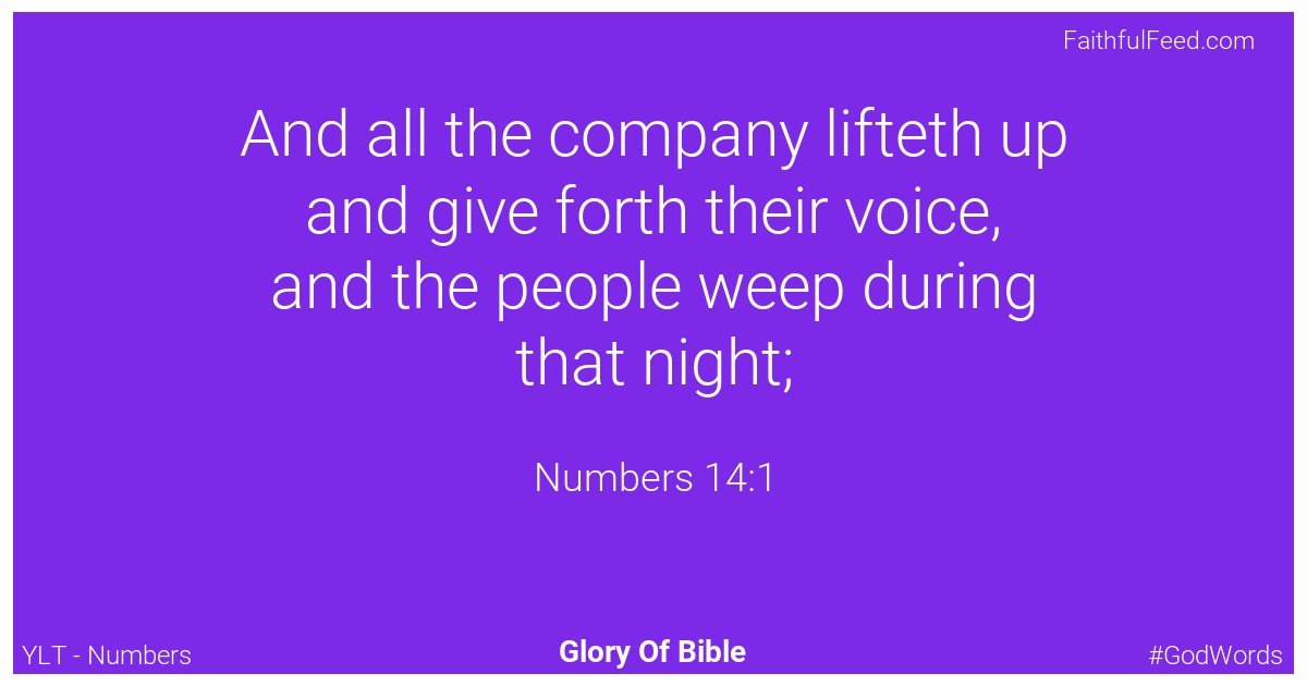 Numbers 14:1 - Ylt