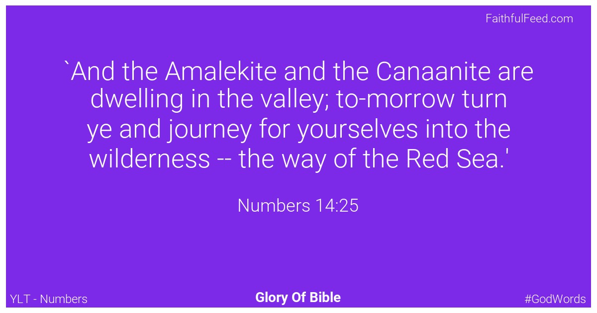 Numbers 14:25 - Ylt