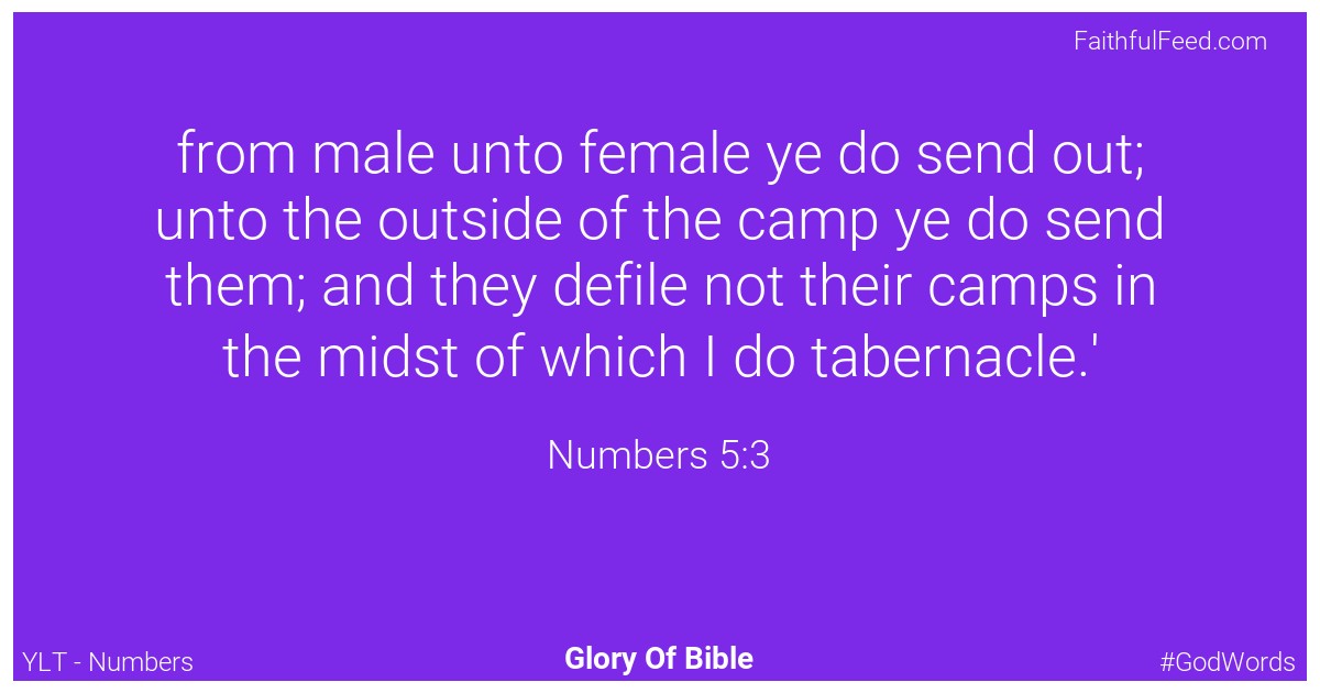 Numbers 5:3 - Ylt