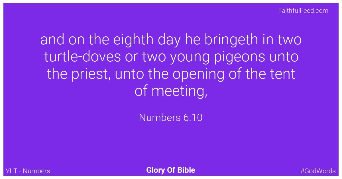 Numbers 6:10 - Ylt